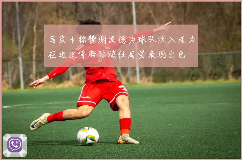 乌度卡称赞谢泼德为球队注入活力在进攻停滞时稳住局势表现出色
